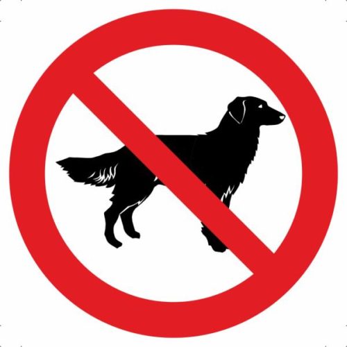 Знак С собакой запрещено